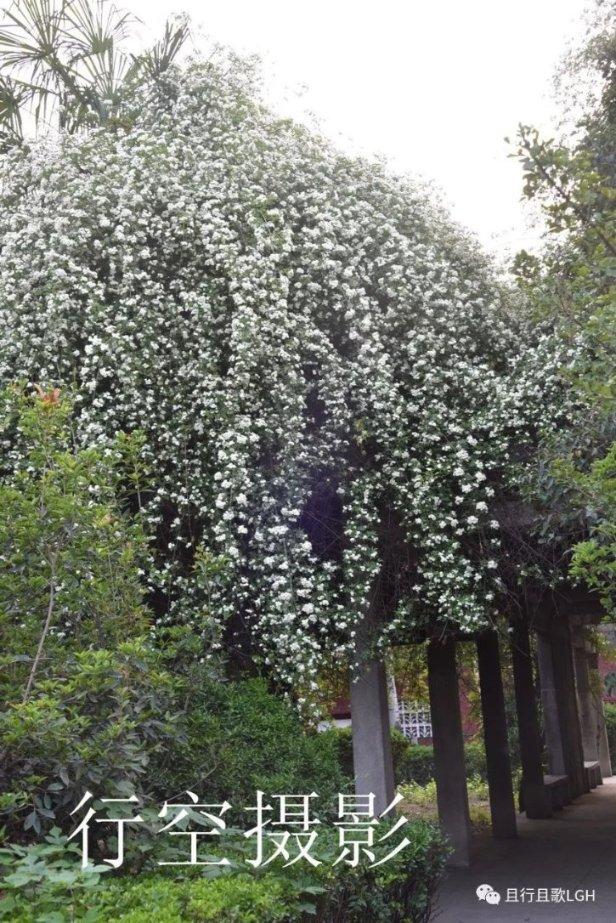 逃离沙漠建筑