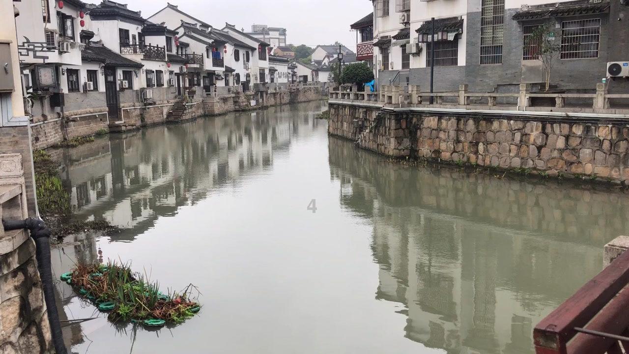 狂丧之尸9